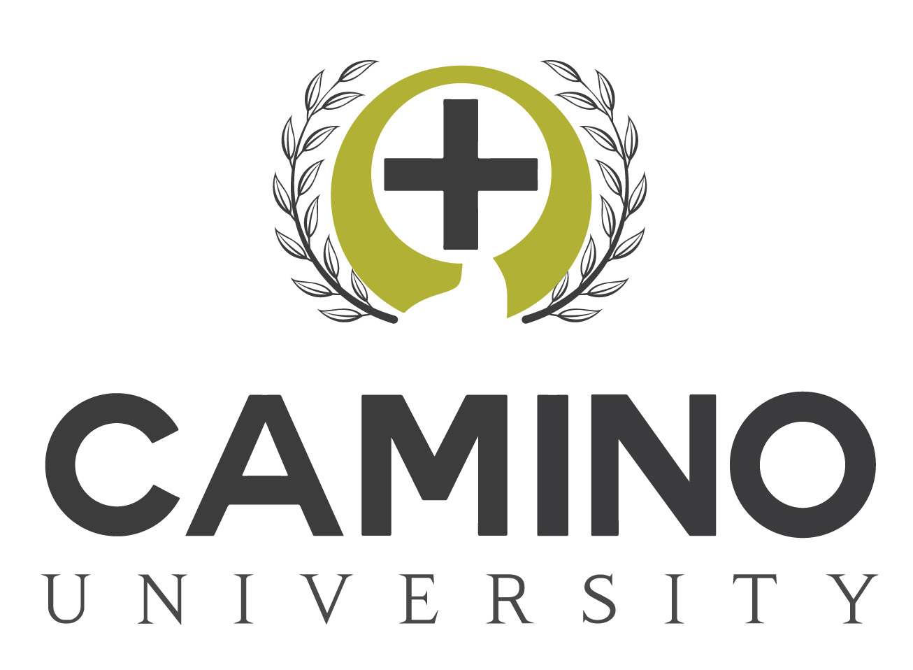 Product image for CAC300 - Camino Church First Steps (English)