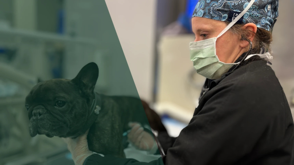 Anaesthesia