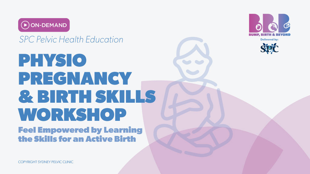 Product image for Physio Pregnancy & Birth Skills Workshop