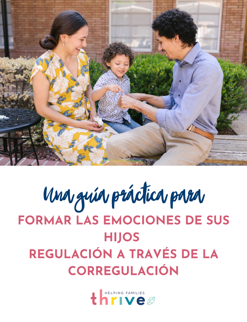 Product image for Guía de Regulación Emocional - Español