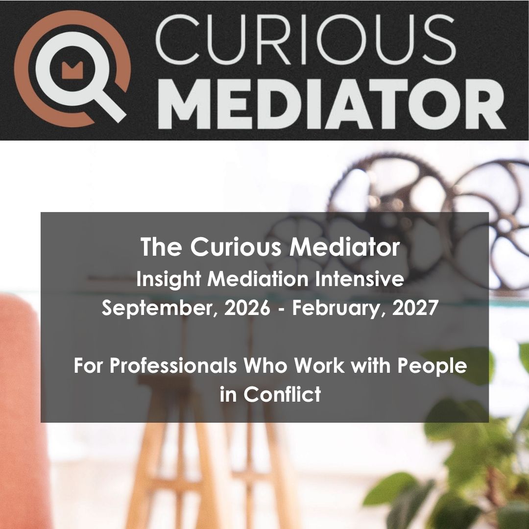 Product image for The Curious Mediator (Sept - Feb, 2027)