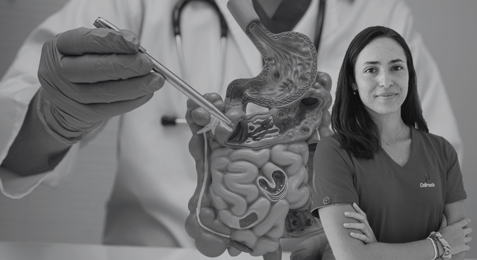Imagen de producto para El aparato digestivo desde la perspectiva de la medicina de precisión. Actualización 2026