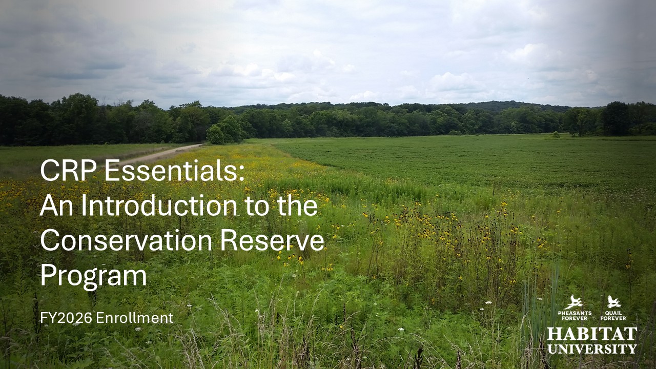 Product image for CRP Essentials: An Introduction to the Conservation Reserve Program