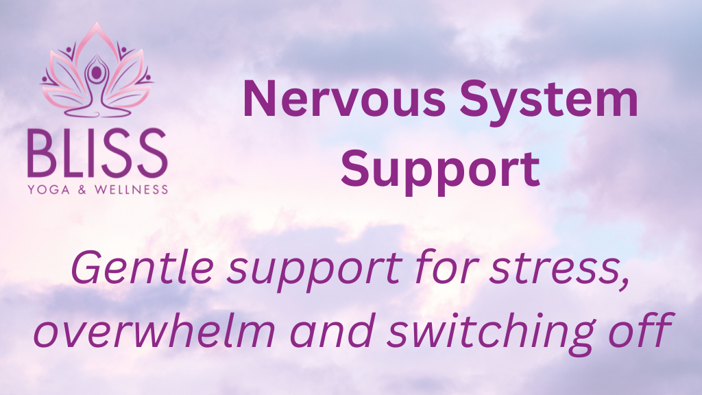 Product image for Nervous System Support