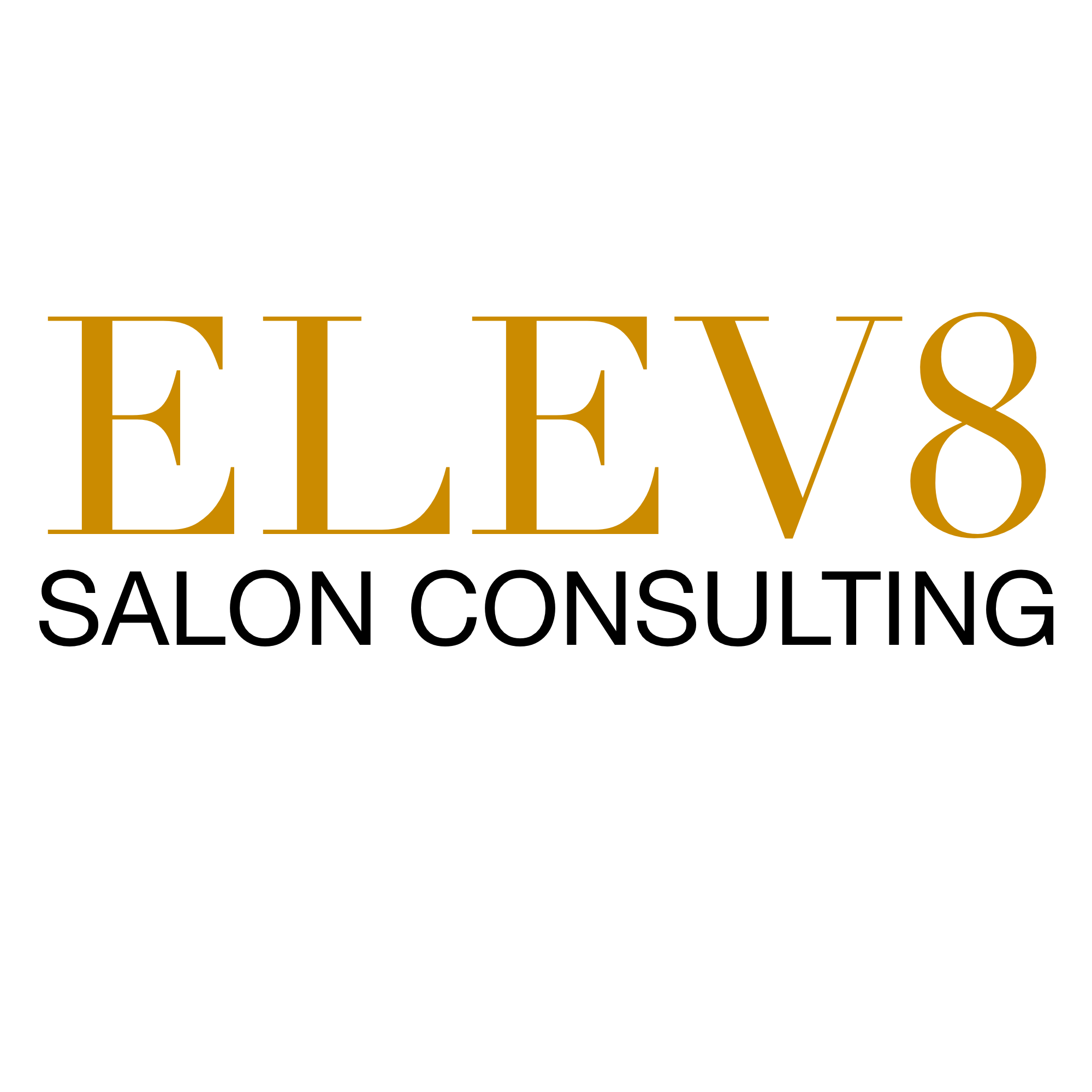 Product image for Elev8 Salon Business Training