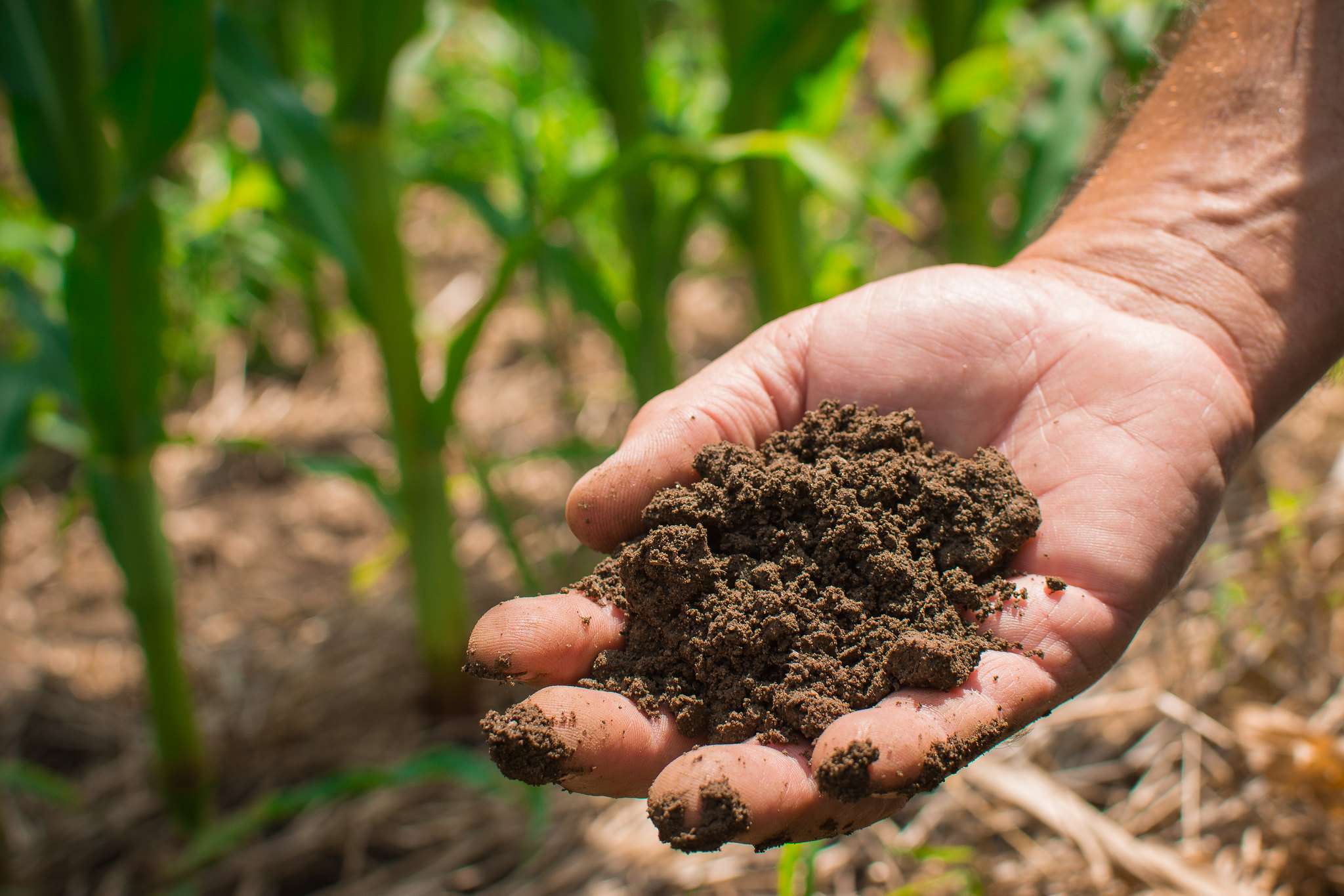Product image for BF 110: Soil Health