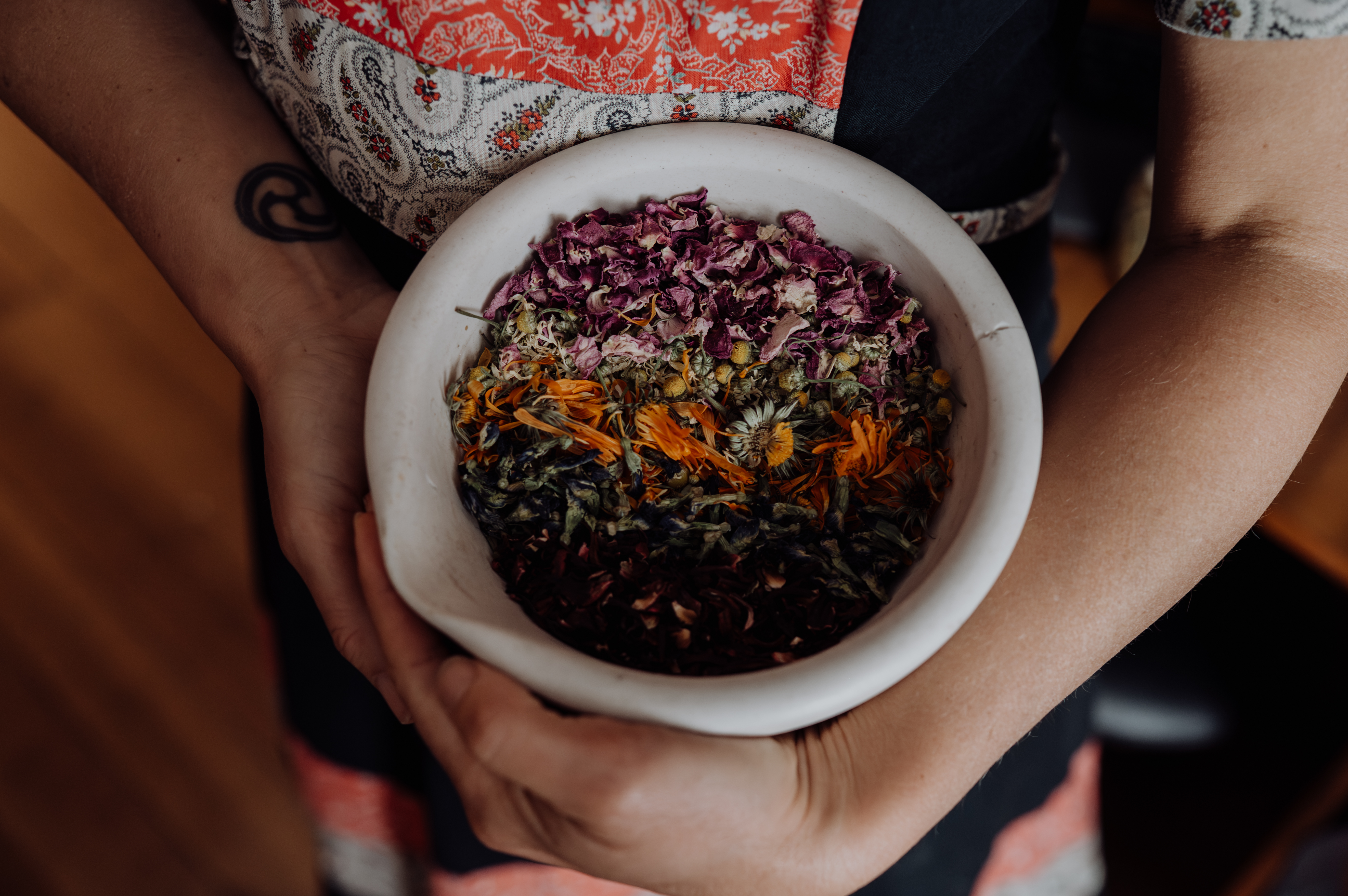 Product image for Herbal & Naturopathic Skills Expansion Program