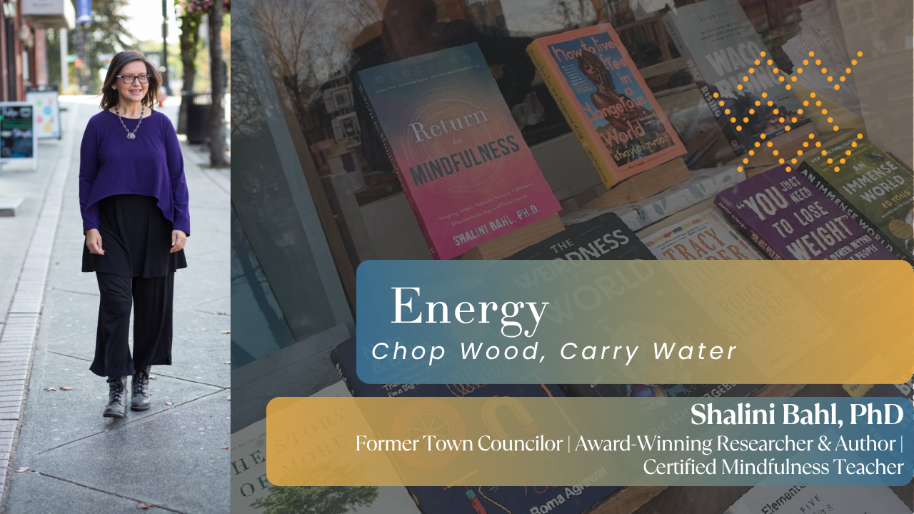 Product image for Energy: The Vitality for What Matters