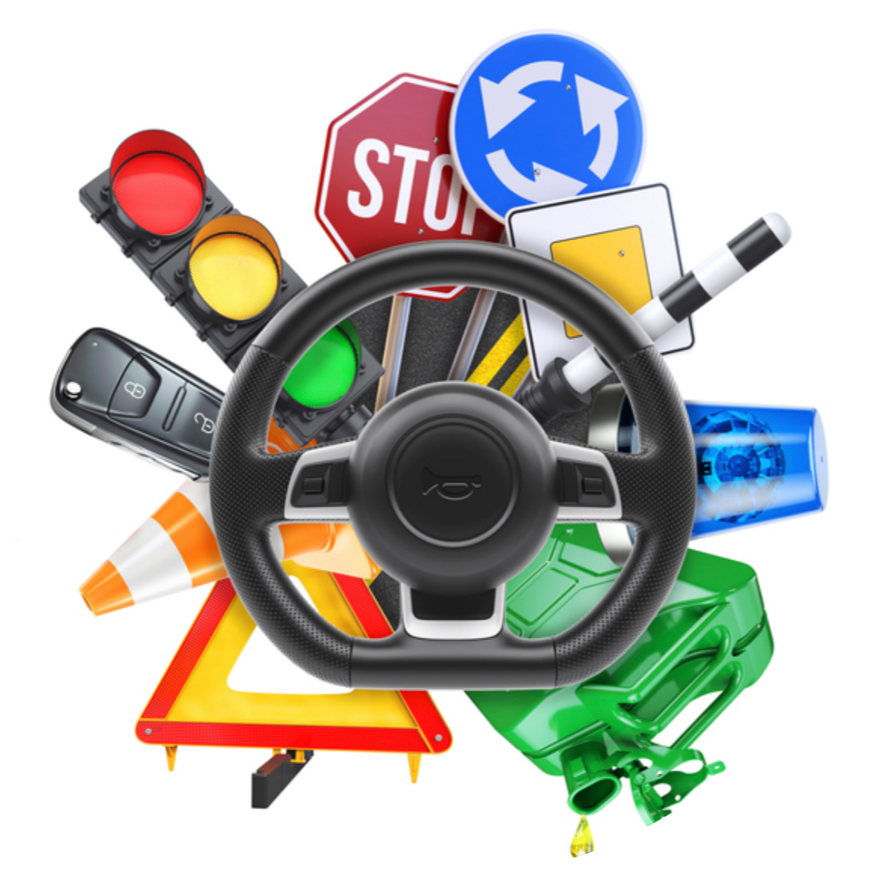 Product image for Theory and practical driving syllabus