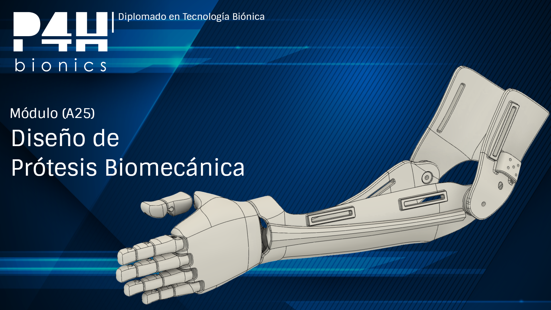 Imagen de producto para (Fase 1.3) Diseño de prótesis biomecánicas