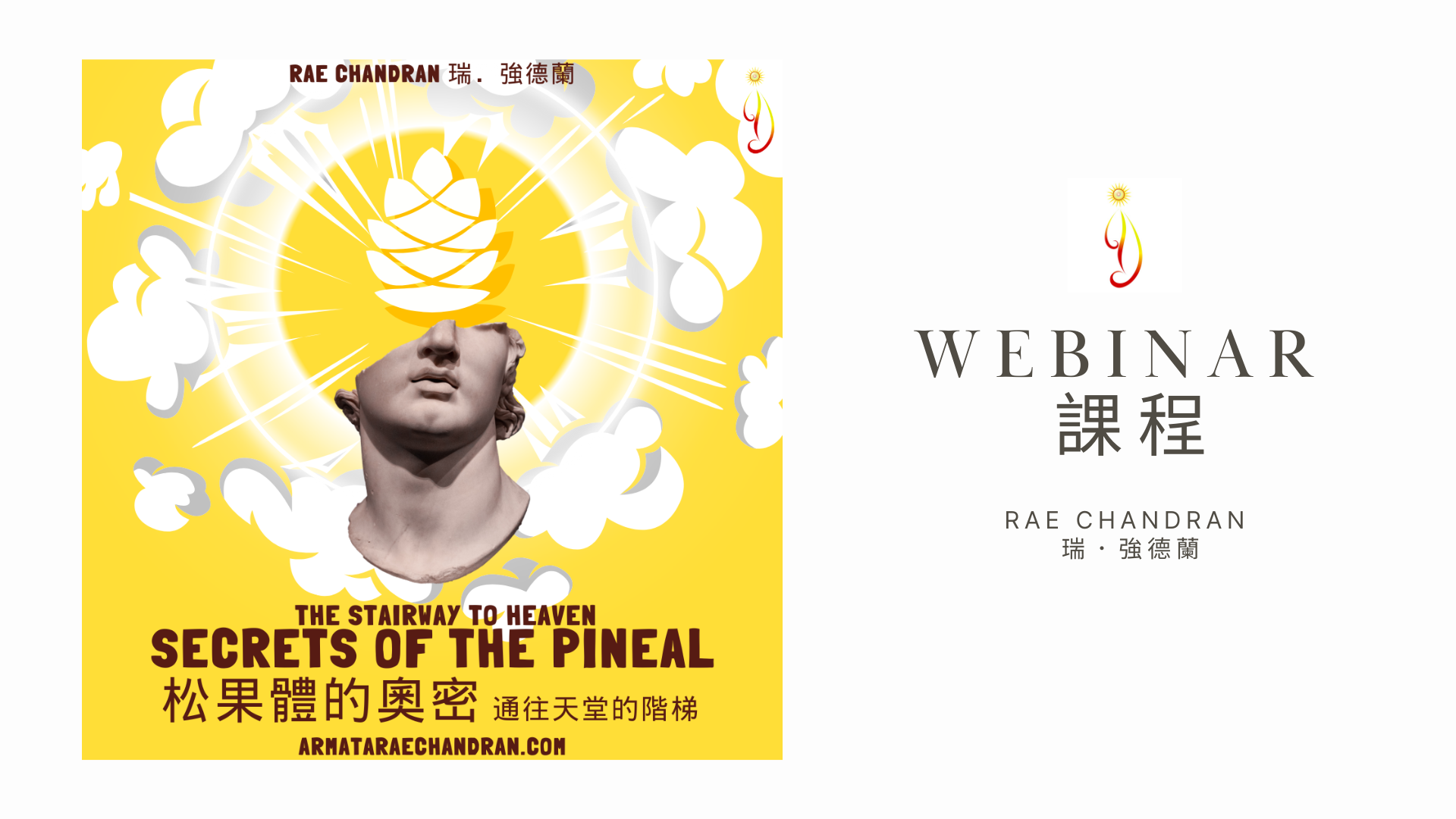 Product image for Secrets of the Pineal 松果體的奧密