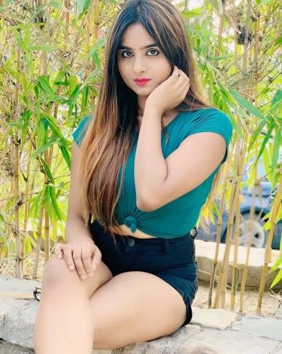 Escort Service Udaipur