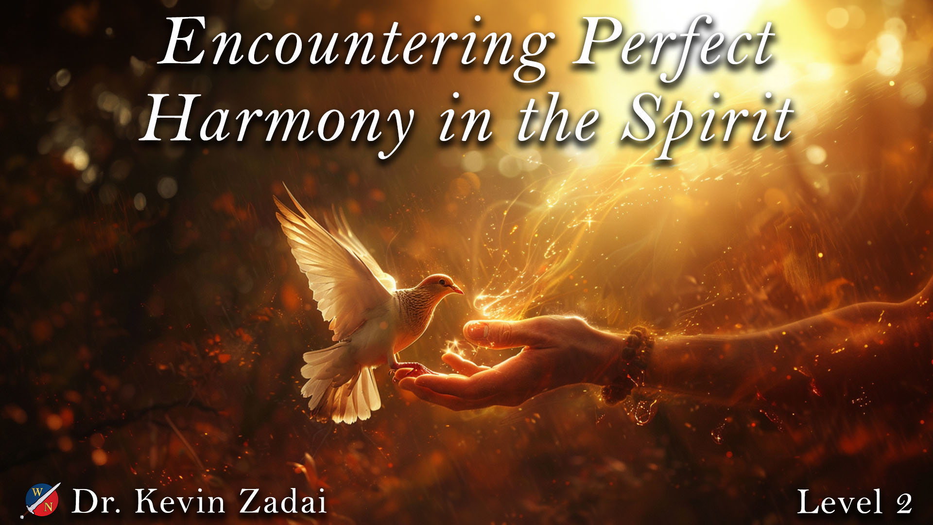 Product image for Encountering Perfect Harmony in the Spirit Level 2: 100