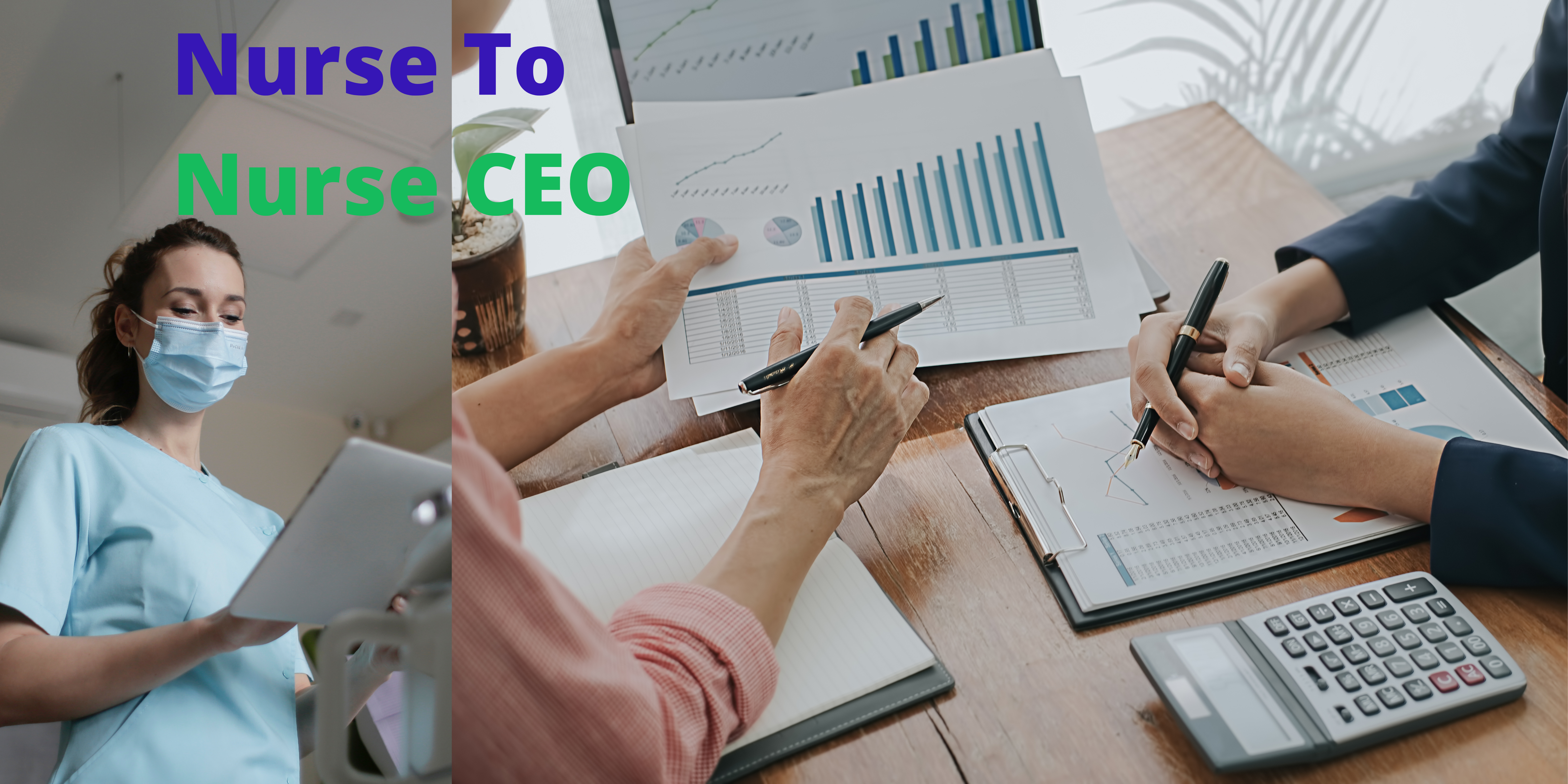 Product image for Nurse To Nurse CEO