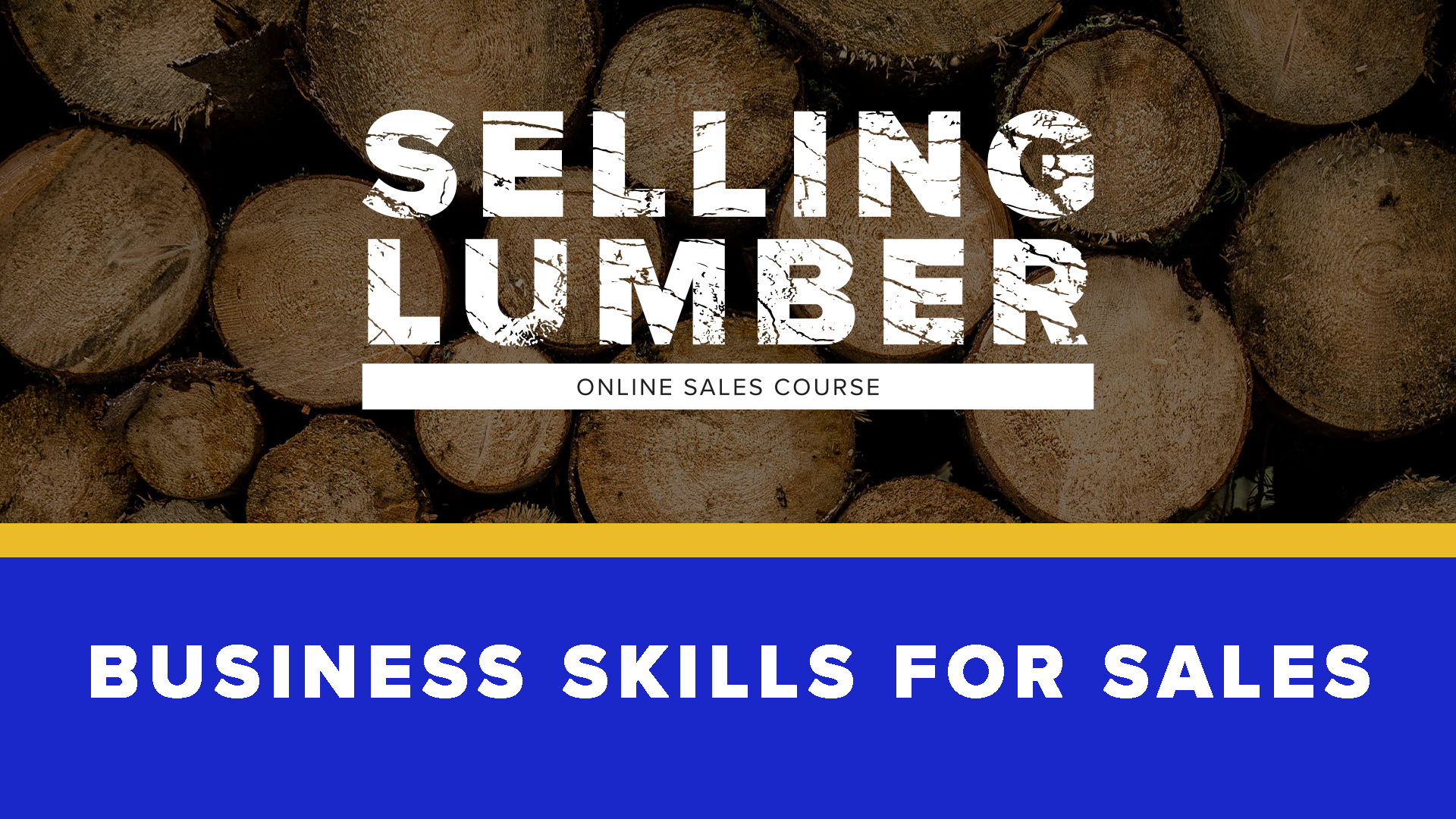 Product image for Business Skills for Sales
