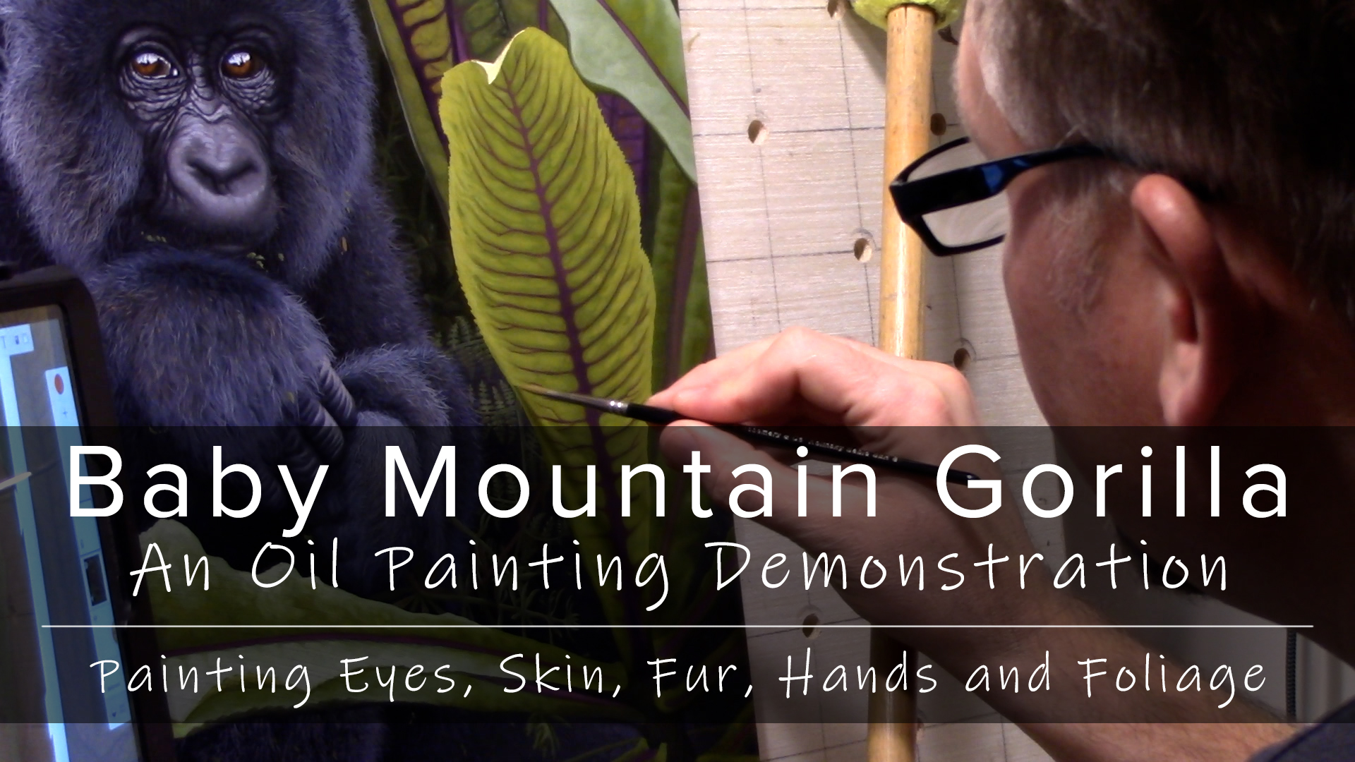Product image for Baby Mountain Gorilla — An Oil Painting Demonstration, Painting Eyes, Skin, Fur, Hands and Foliage