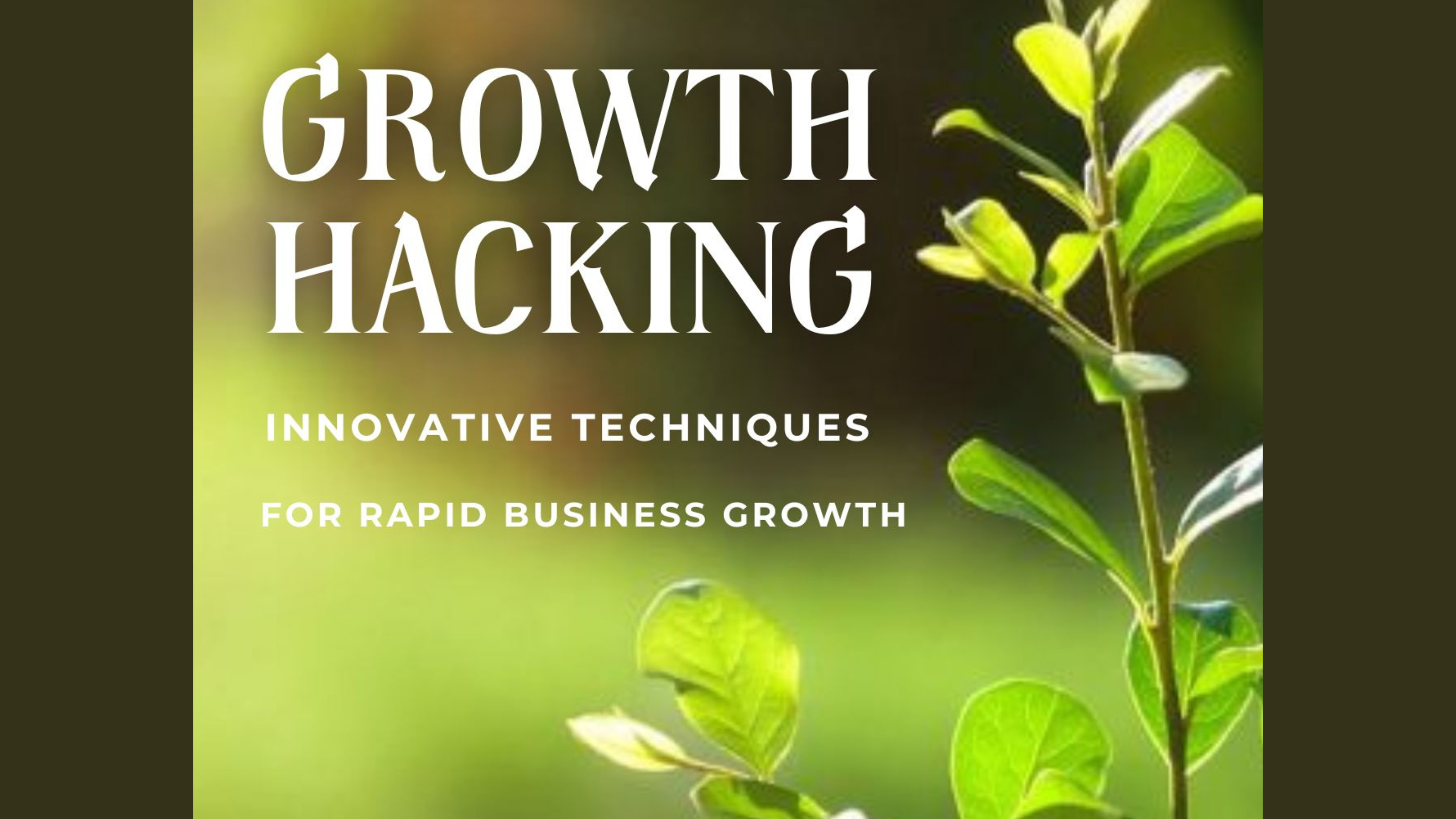 Product image for Growth Hacking: Innovative Techniques for Rapid Business Growth!