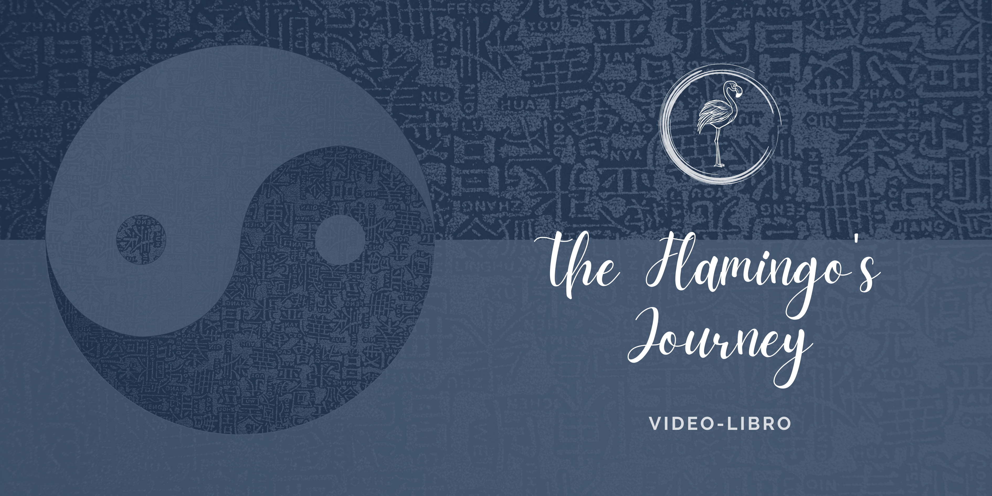 Product image for The Flamingo's Journey