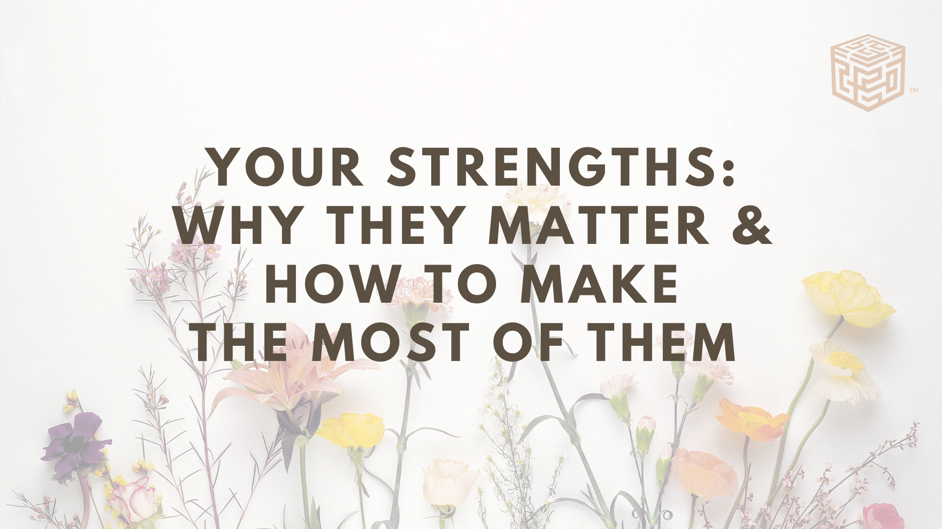 Product image for Your Strengths: Why They Matter & How To Make The Most of Them