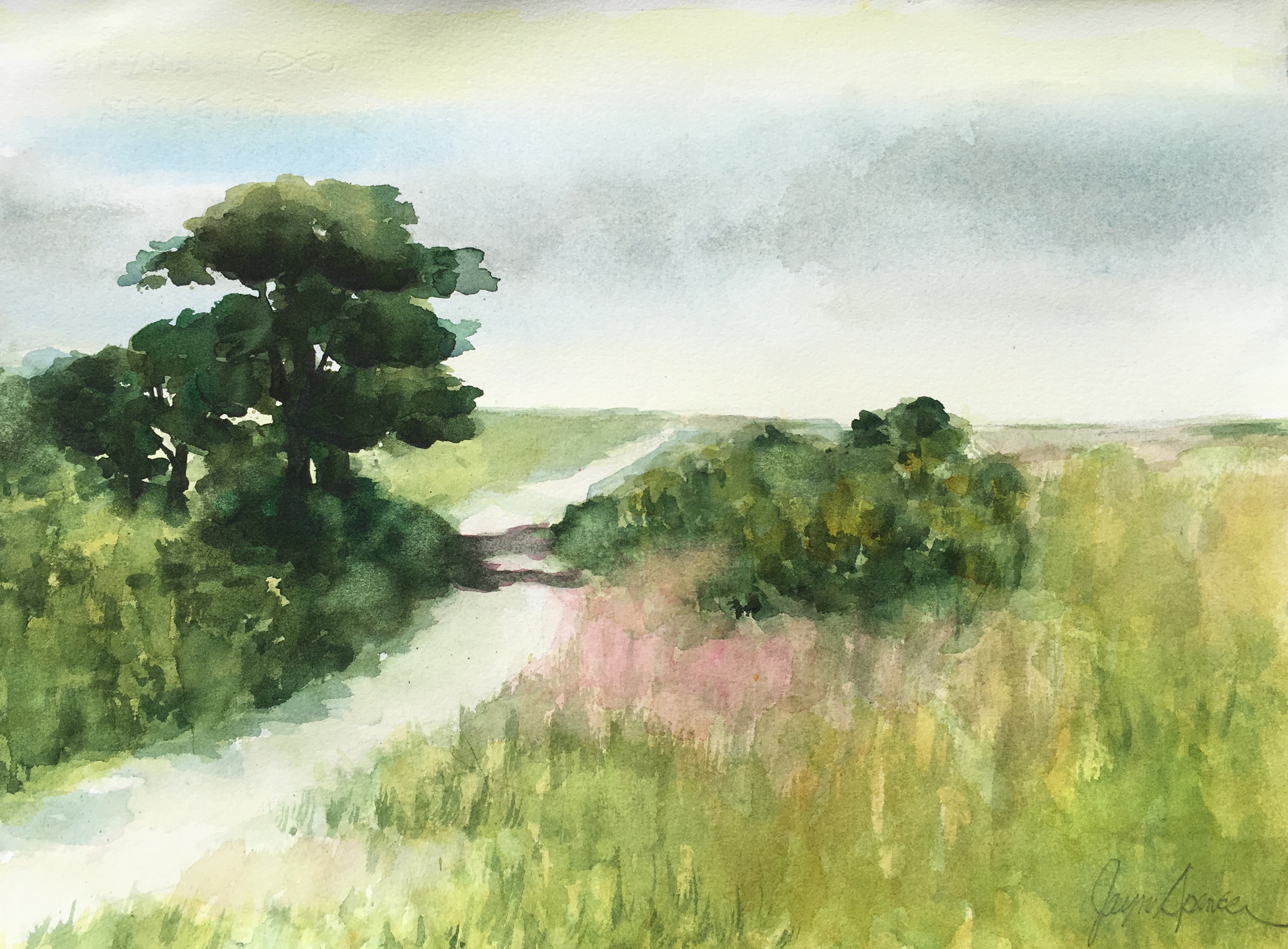 Product image for Painting 6 Different Types of Trees In Watercolor
