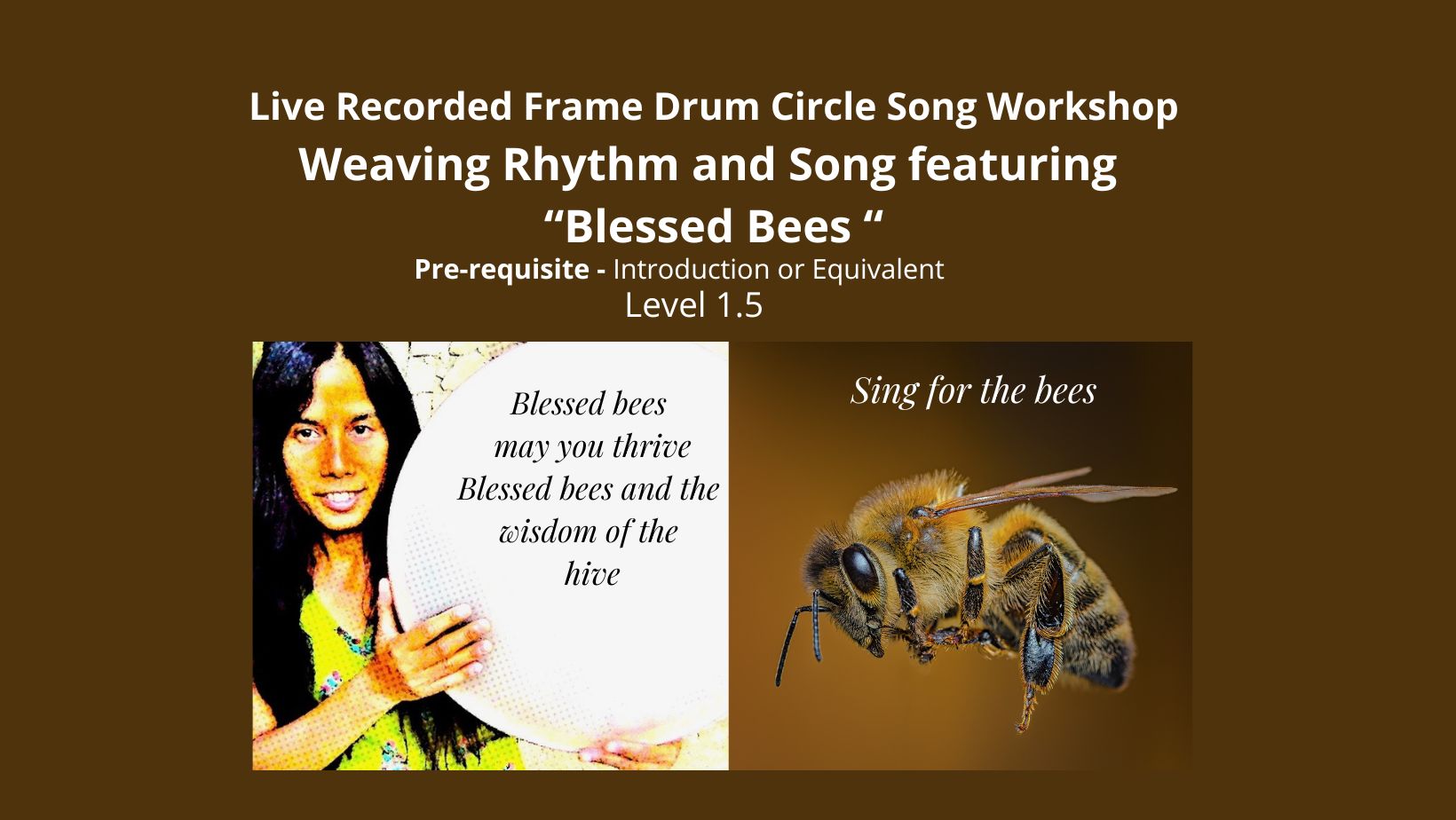 Product image for Featuring " Blessed Bees" Frame Drum Circle Song live recorded Workshop