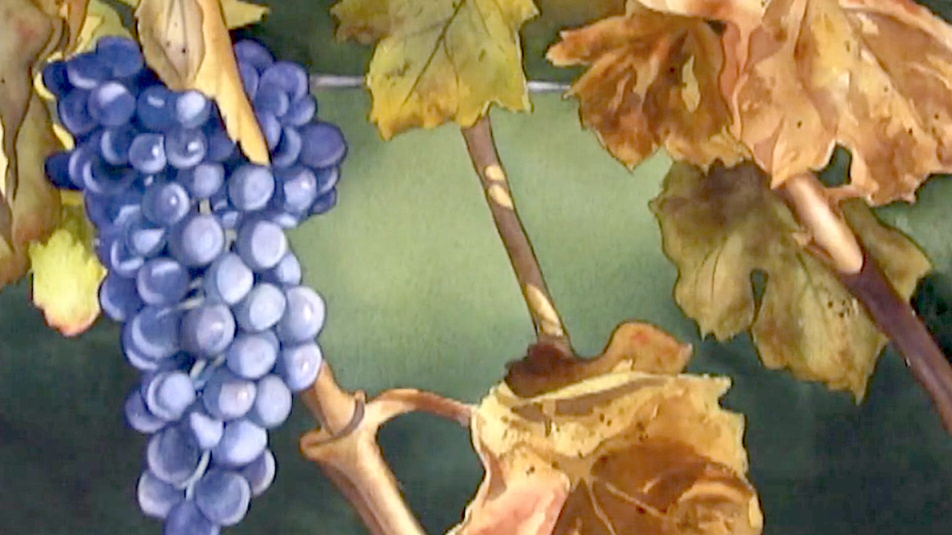 Product image for Fall Grapes & Leaves, independent learning