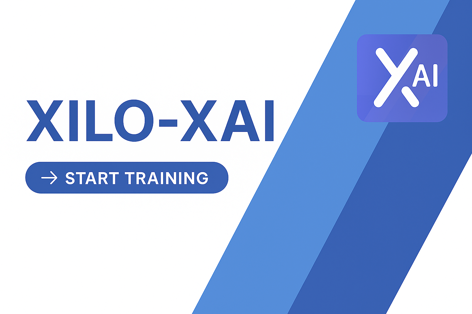 Product image for XILO & XAI Essentials
