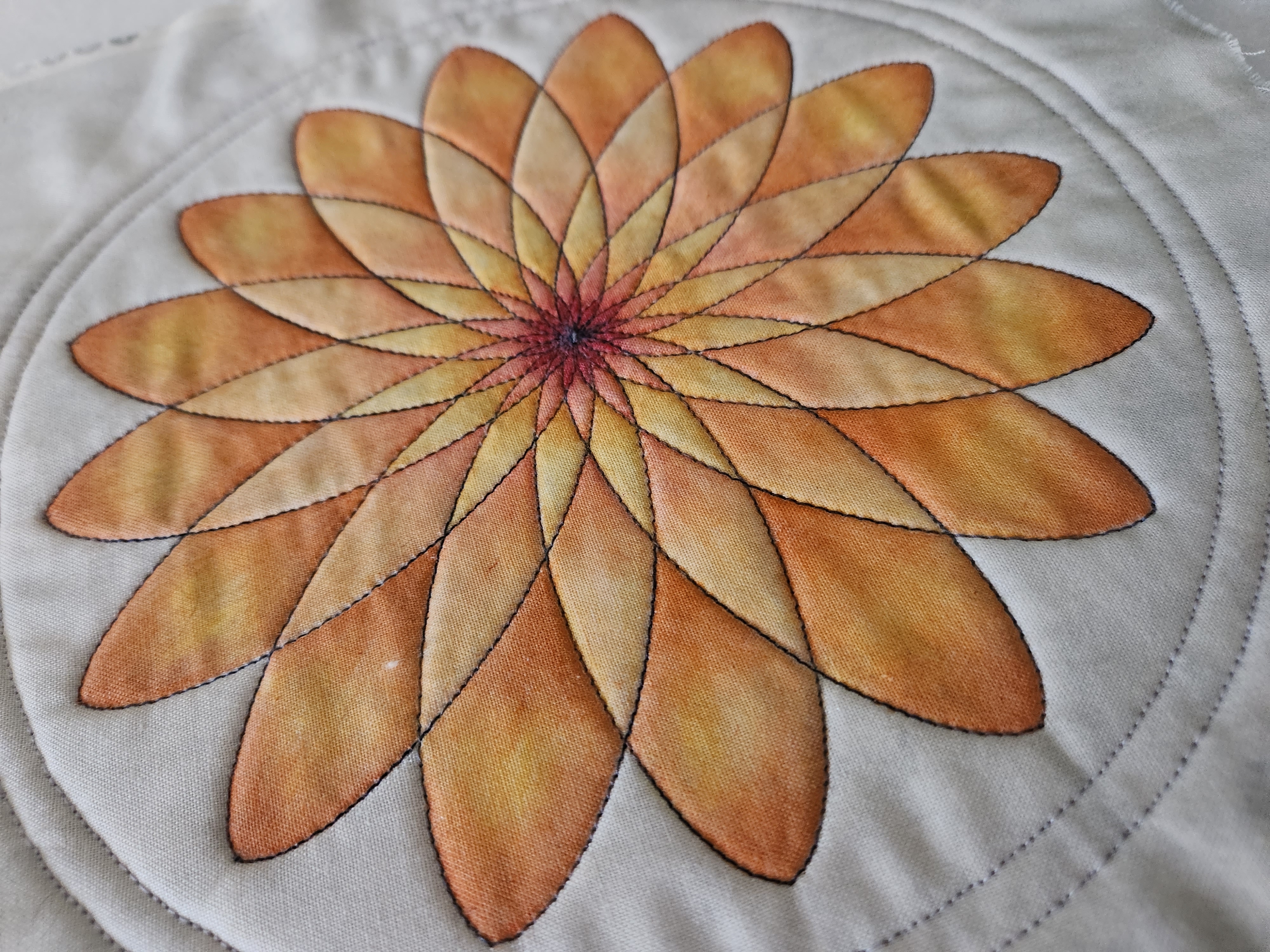 Product image for Spin-e-Fex Magic Series -  Class 1 By Kathy Clawson - 1