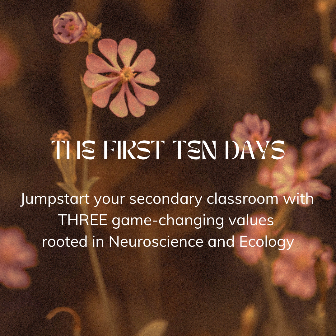 Product image for The First 10 Days:  Jumpstart your secondary classroom with values rooted in Neuroscience, Ecology, and SEL