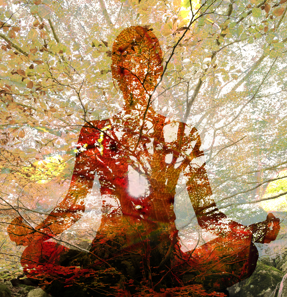 Product image for Autumn Equinox 21-Day Transformation Challenge