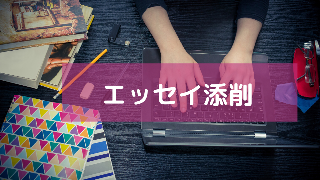 エッセイ添削 の商品画像