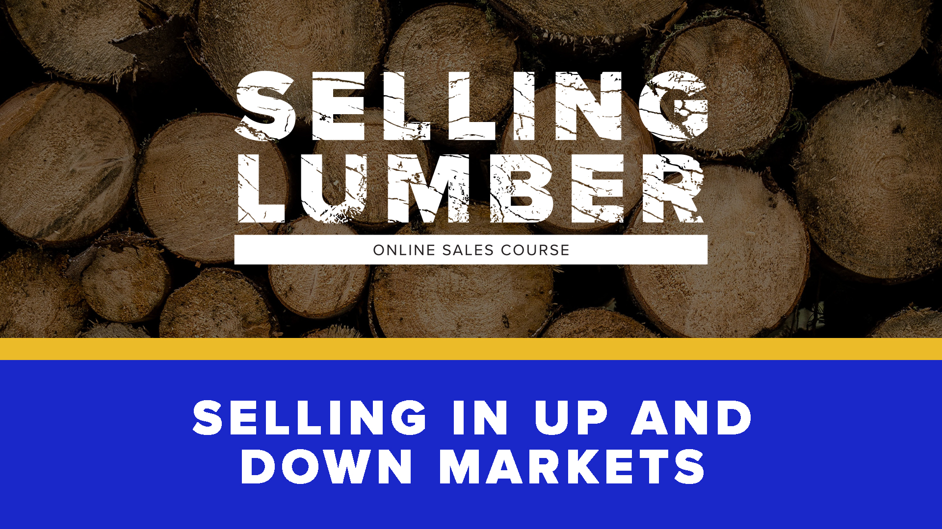 Product image for Selling in Up and Down Markets