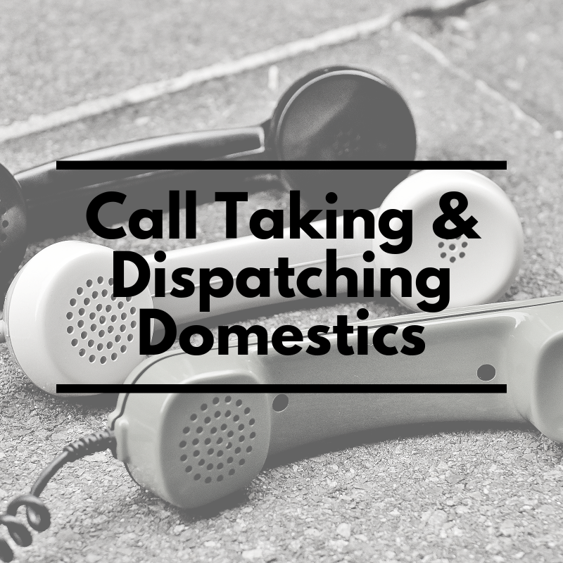 Product image for Call Taking & Dispatching Domestics