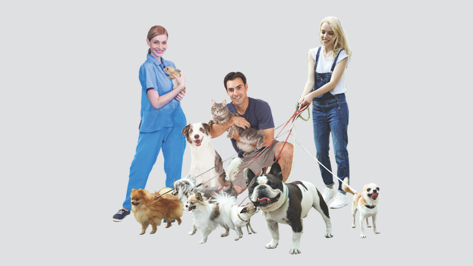 Product image for The Pet Professional's Guide to Pet Loss