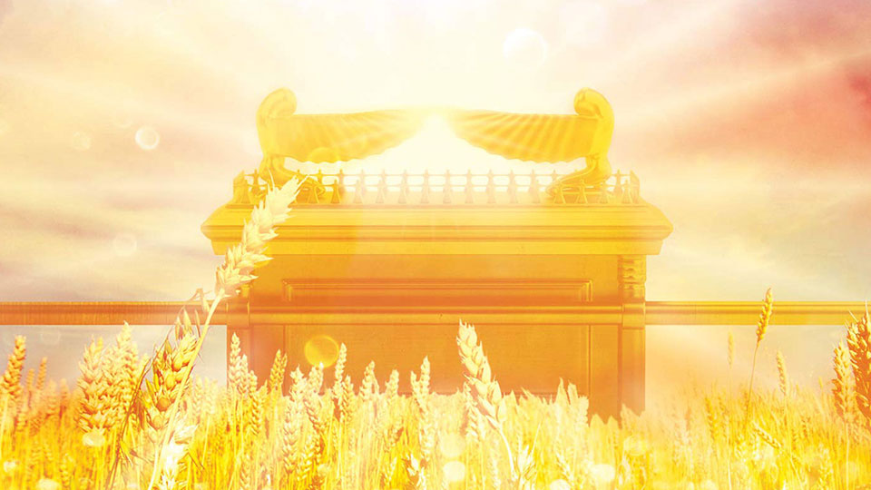 Product image for Supernatural Provision: 200