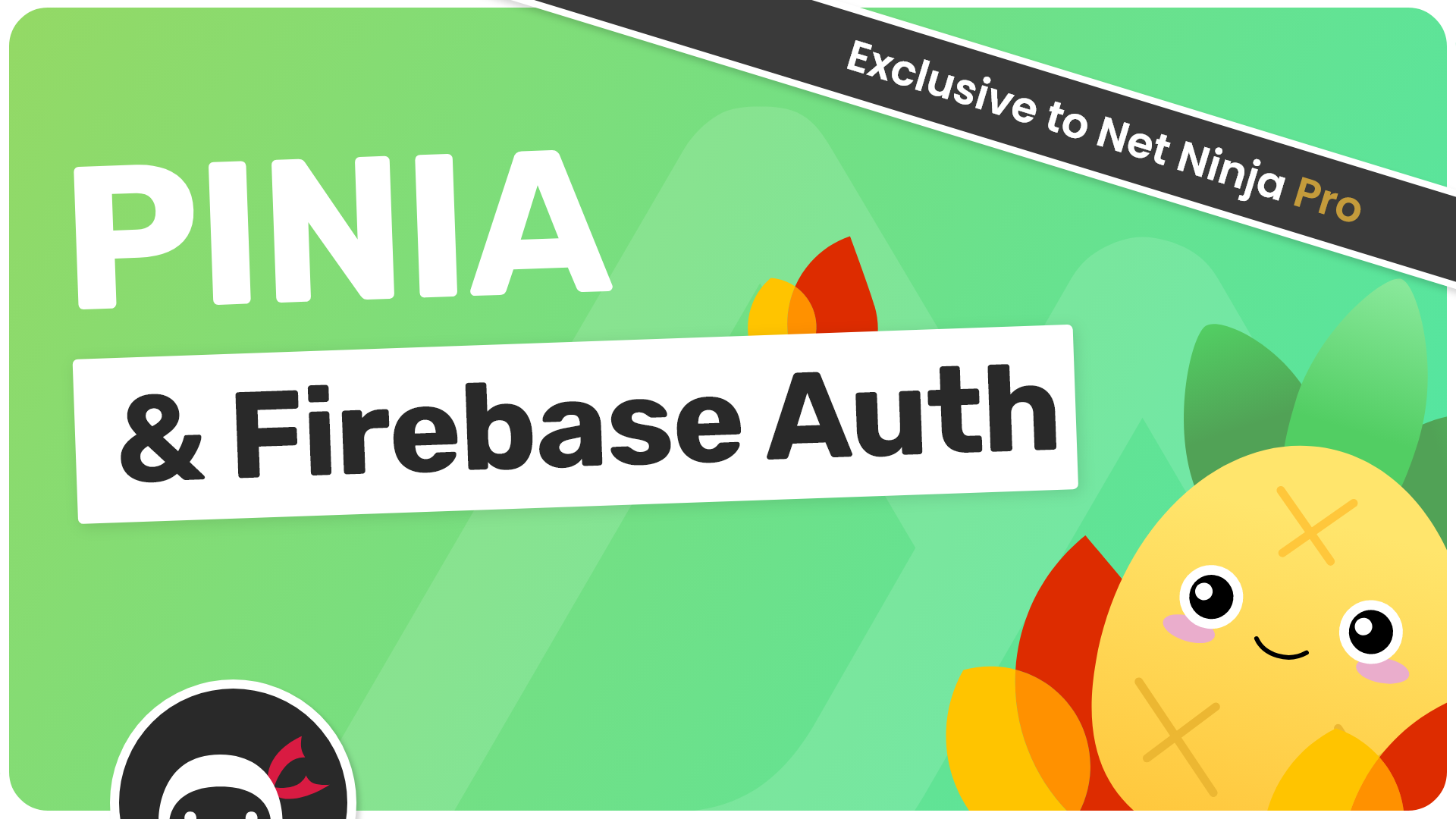 Product image for Pinia with Firebase Auth