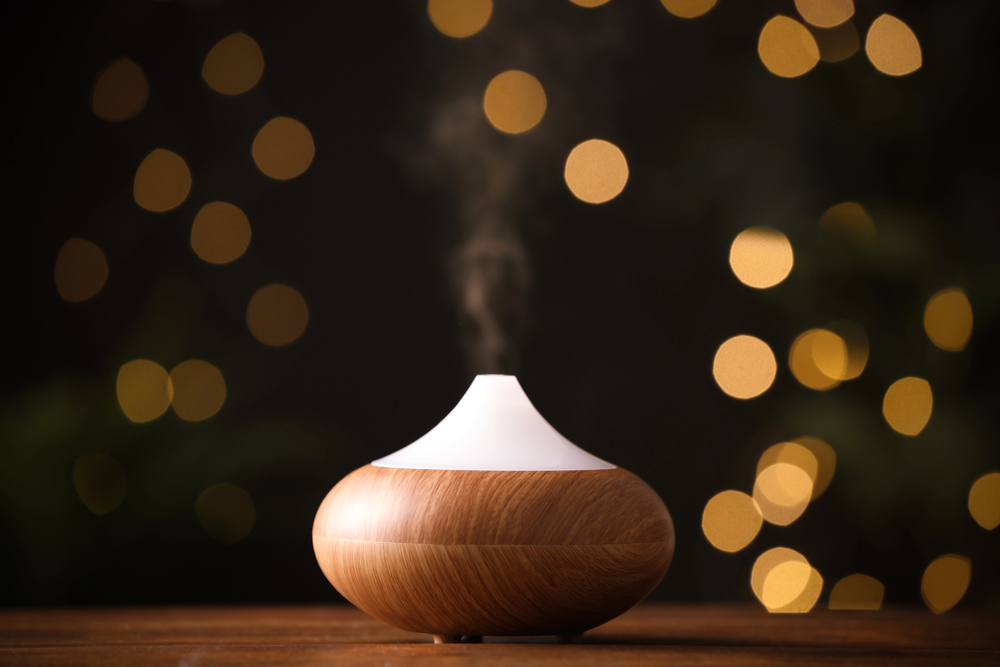 Product image for The Easiest And Most Practical Guide to Using Essential oils