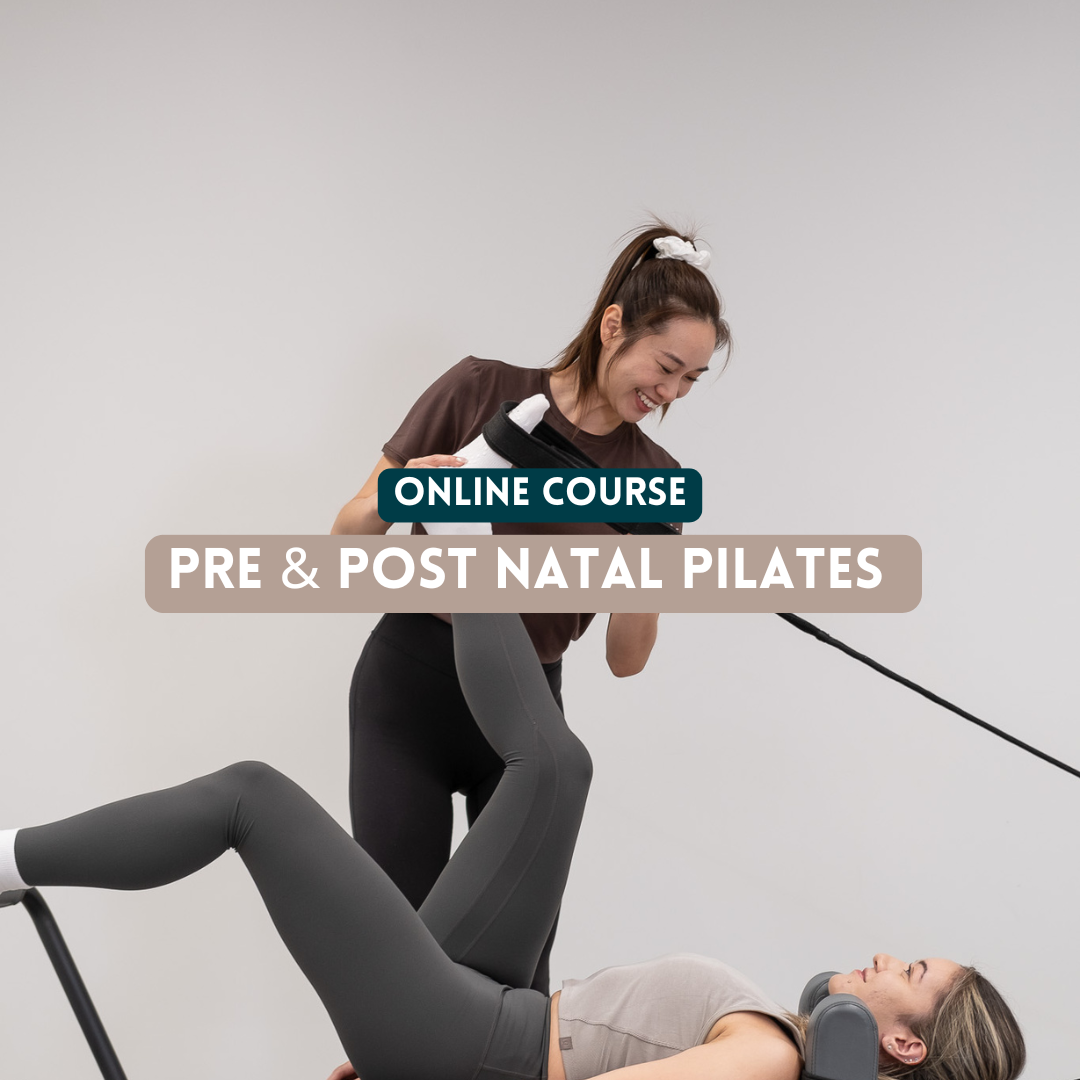pre-post-natal-pregnancy-reformer-pilates-the-so-academy