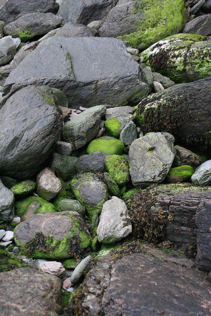 Product image for Groundwork: Foundational Gestalt