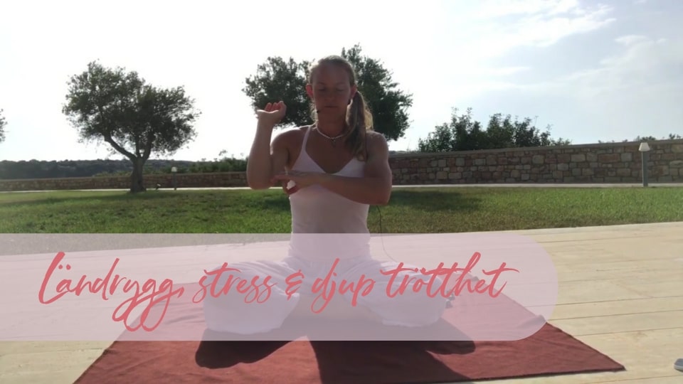 Product image for Ländrygg, stress & djup trötthet