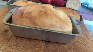 Fresh Homemade Bread 1 up close in front and 2 behind in background, still in metal bread tins on a wooden counter. distance background Fresh sliced open loaf with oven mit laying beside it!