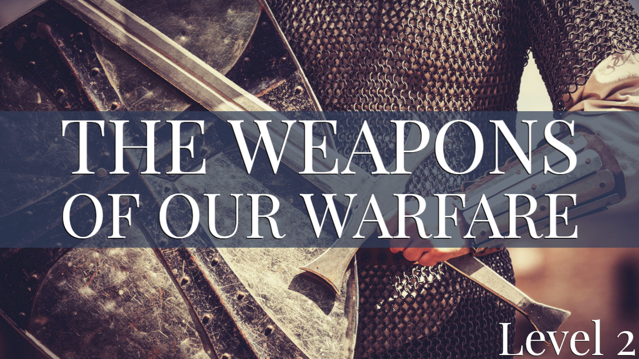 Product image for The Weapons of Our Warfare Level 2: 100