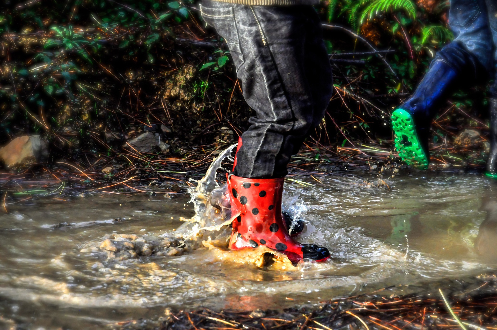 Product image for Risk at Forest School