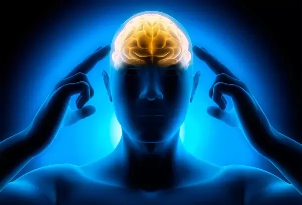 Product image for (1) Smart Memory 101