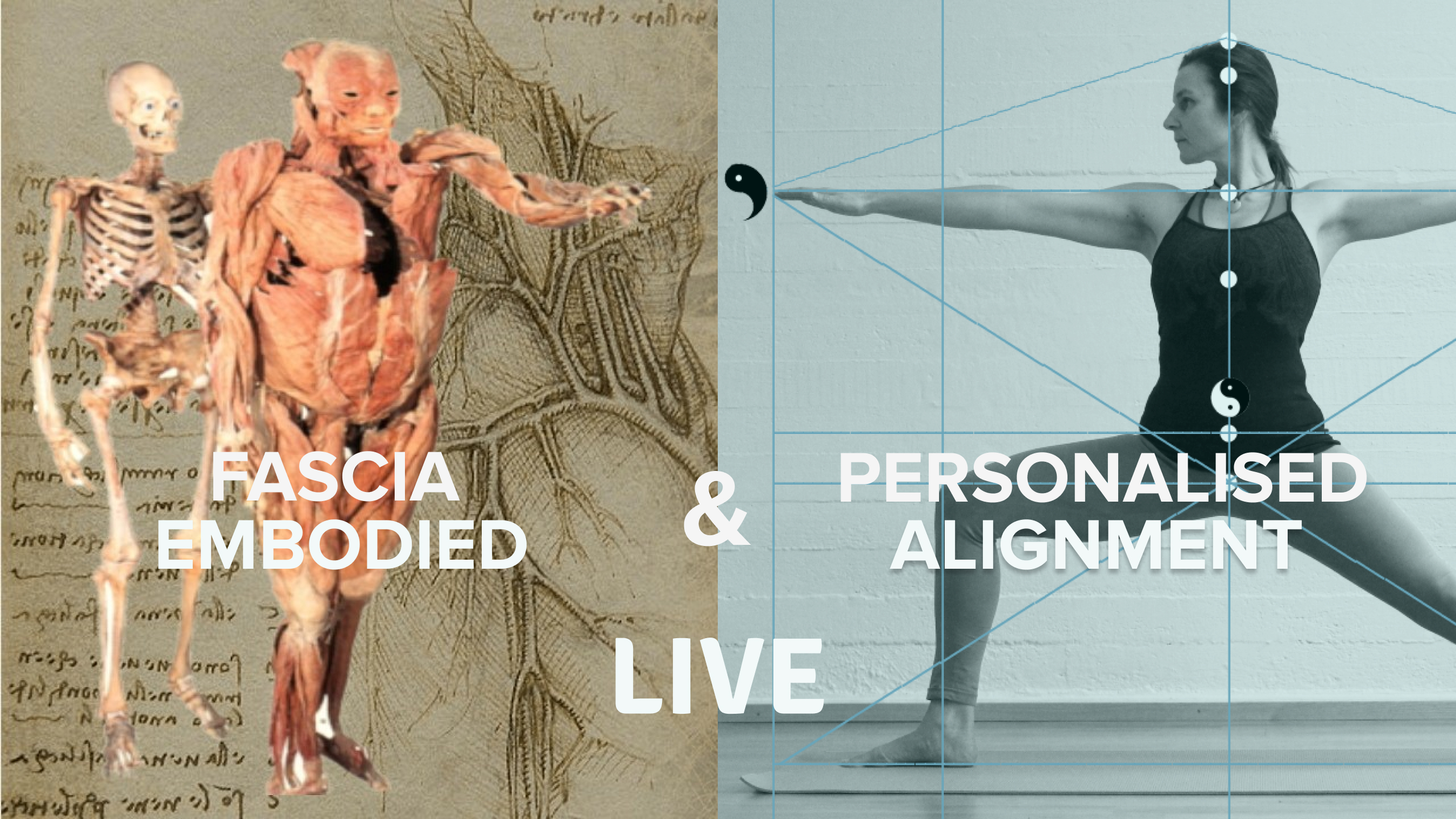 Product image for Personalised Alignment Live & Fascia Embodied Live (100h)