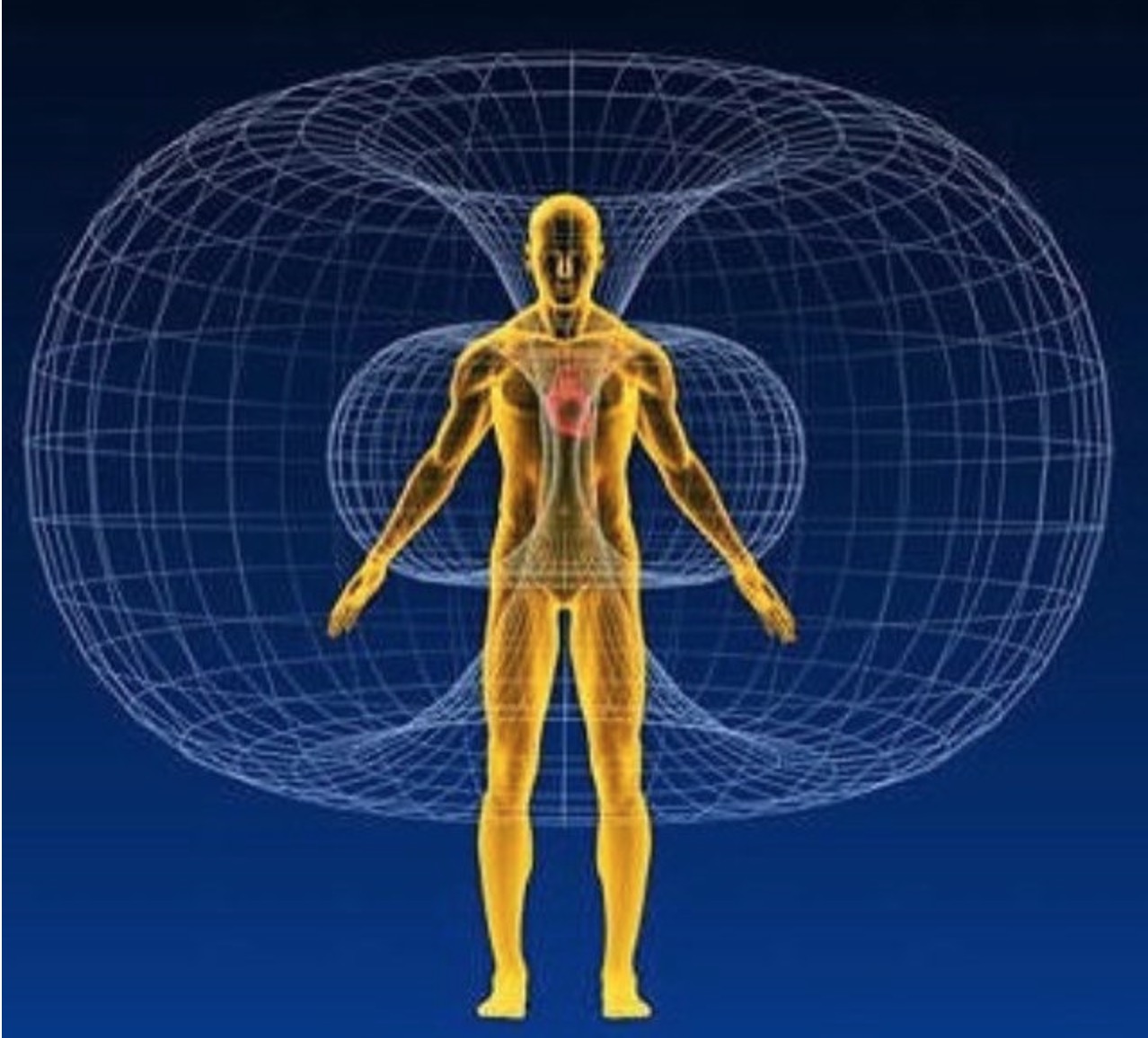 Product image for The Body Subtle Fields