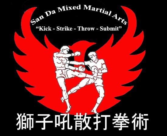 Product image for New Martial Revolution Online Martial Arts Curriculum