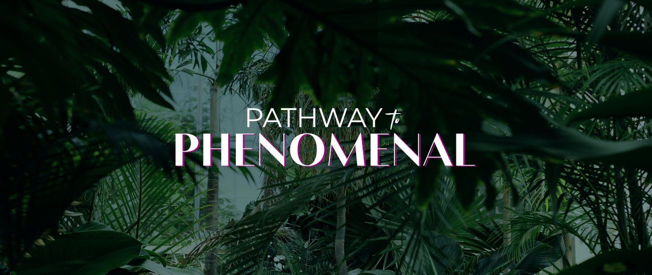 Pathway to Phenomenal – The Course