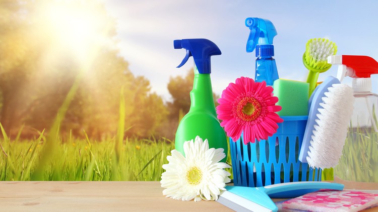 Product image for The Easiest Green Cleaning Guide Ever