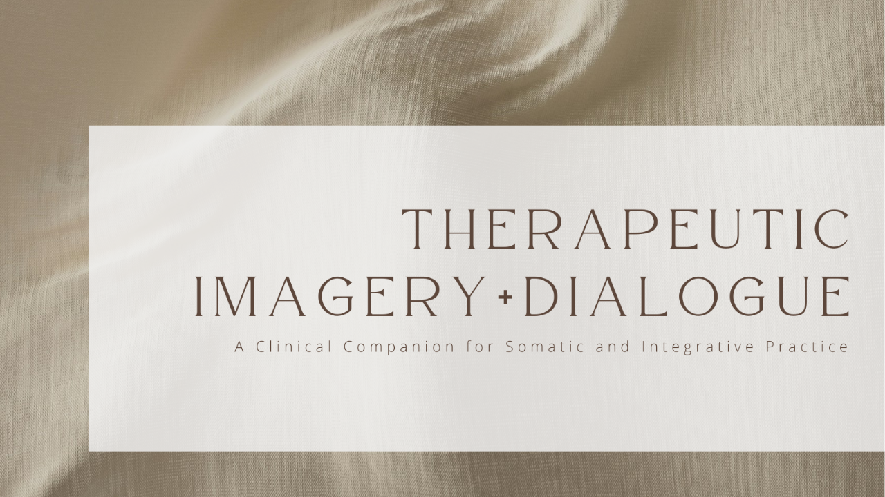 Product image for Therapeutic Imagery + Dialogue: A Clinical Companion for Somatic and Integrative Practice